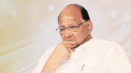maratha qouta, martha reservation, Sharad Pawar NCP president, NCP president Sharad Pawar, Amit shah, Indian Express