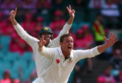 india vs australia, ind vs aus, india australia, steve O'Keefe, australia cricket, big bash, big bash league, cricket news, cricket