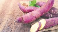 Sweet potato, Potato, diabetes, American Diabetes Association, sweet potato production, health, sweet potato benefits, health news, indian express news