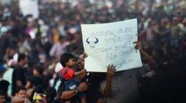 Jallikattu, Jallikattu bill, marina beach protest, Jallikattu protest, Jallikattu injured, Jallikattu updates, what is Jallikattu, chennai, tamil nadu, jallikattu protests, jallikattu violence, jallikattu live updates, ice house police station, police station burnt chennai, tamil nadu protest, Vidyasagar Rao,O Panneerselvam, indian express news, india news