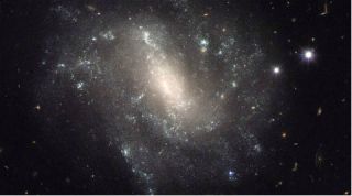 stardust, human body stardust, stardust humans, universe stardust