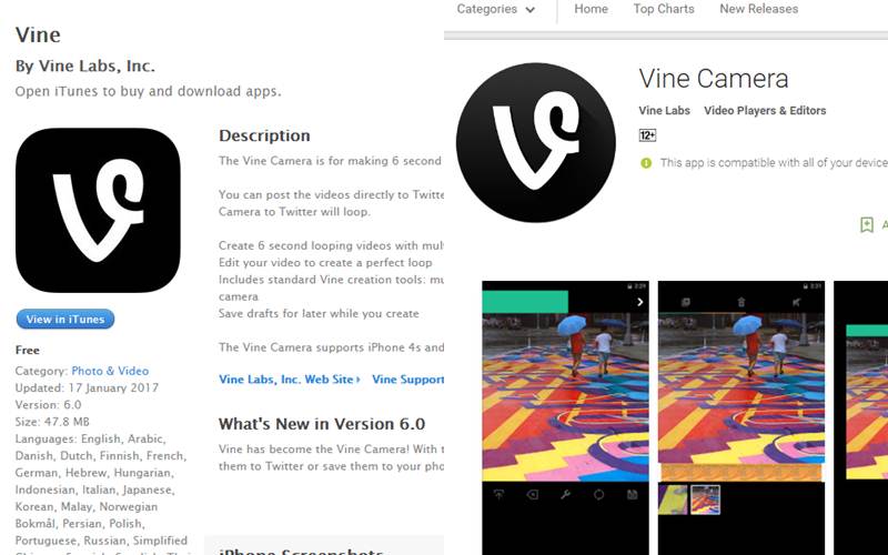 Twitter, Twitter Vine, Vine Camera app, Vine Camera app Android, Vine Camera app iOS, Twitter closes Vine, Vine app, Vine.co, apps, Vine looping videos, smartphones, technology, technology news