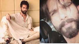 shahid kapoor, shahid kapoor instagram, rangoon, padmavati, shahid kapoor raja ratan singh, shahid kapoor deepika padukone, deepika padukone, kangana ranaut, saif ali khan, indian express, entertainment news