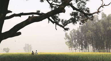 agricultural employment, agriculture, economic history, agricultural shift, First Indian Famine Commission, agricultural incomes, food processing, B.R. Ambedkar, FIFC, non-agricultural jobs, indian express news, india news, indian express column