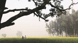 agricultural employment, agriculture, economic history, agricultural shift, First Indian Famine Commission, agricultural incomes, food processing, B.R. Ambedkar, FIFC, non-agricultural jobs, indian express news, india news, indian express column