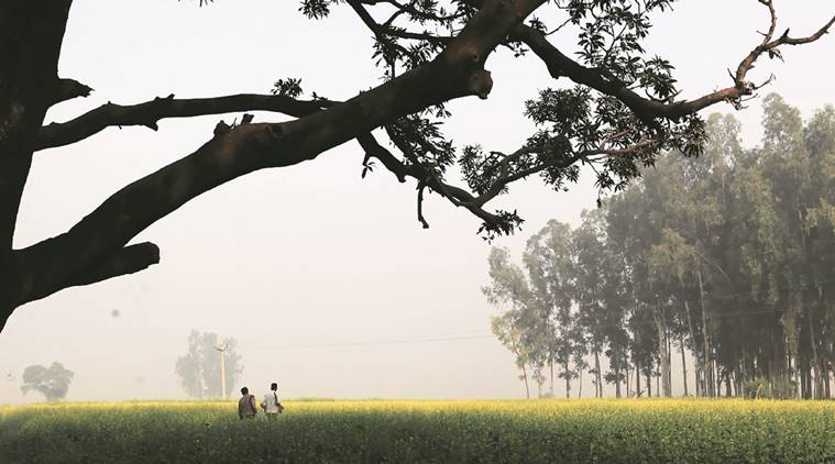 bumper harvest, monsoon bumper harvest, union agriculture ministry, kharif crop, indian express, business