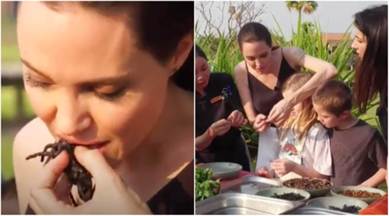 Angelina Jolie, Angelina Jolie Eat Spiders Scorpions, Angelina Jolie spider, Angelina Jolie spider video, Angelina Jolie kids