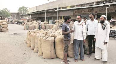 Crop prices, ARHAR DAL PRICE, PULSES PRICE, farmer crop price, amravati arhar, arhar farmers, MSP, modi government, pulses promotion, arhar promotion, arhar price, indian express news, india news, business news