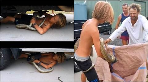 australia, snake, snake video, australia snake video, australia snake boy, teenager rescue snake with bare hands, shocking python videos, viral snake videos, trending news, latest news, indian express