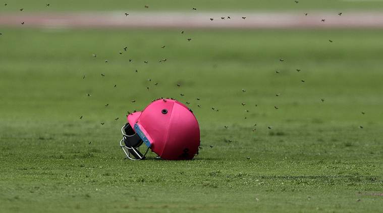 south africa vs sri lanka, sri lanka vs south africa, sa vs sl, sl vs sa, bees, cricket bees, cricket news, cricket