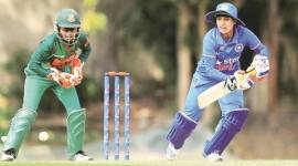 box-cricket-480 wicket keepers, wicket keeper safety, wicket keeper cricket, safety behind wickets, cricket news