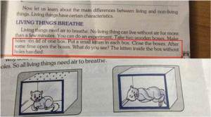 school textbook, textbook experiment to kill cat, textbook experiment teach kids to kill cat, class 4 environment studies textbook, textbook 4 grade experiment kill kitten, education news, indian science textbook primary school, latest news, indian express