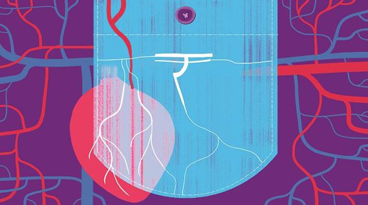 pricing, stent pricing, NPPA pricing,stent cap, stent supply, stent trade, heart medicine, National Pharmaceutical Pricing Authority, drug-eluting stent, indian express news, business new