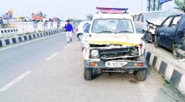 cow-thieves-480 no alt set