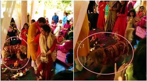 dog taking pheras, dog behind indian couple, dog takes pheras with bride and groom, pet dog at wedding, dog videos, dog funny videos, dog wedding videos, indian express, indian express news