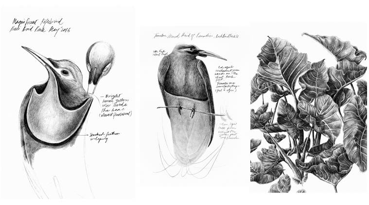 exhibition, Garima Gupta, Garima Gupta artist, artist Garima Gupta, mumbai exhibition Garima Gupta, latest news, latest art news
