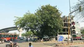 delhi, delhi news, delhi metro construction, delhi metro, delhi pink line, delhi pink line metro, delhi pink line metro construction, delhi pink line metro construction stalled, indian express, india news