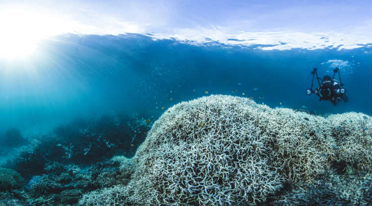 Great Barrier Reef, massive undersea landslide, Gloria Knolls slide, Jame Cook University, 3D multibeam mapping, Queensland trough, Great Barrier seafloor, Australia Great Barrier Reef, Great Barrier landslide, Science, Science news