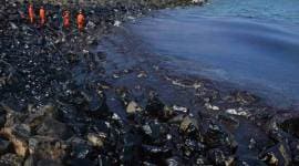 chennai oil spill, chennai ship collide, chennai ship collision, Kamarajar port, Ennore oil spill, indian express news, india news
