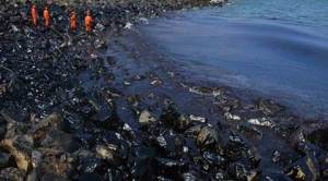 chennai oil spill, chennai ship collide, chennai ship collision, Kamarajar port, Ennore oil spill, indian express news, india news