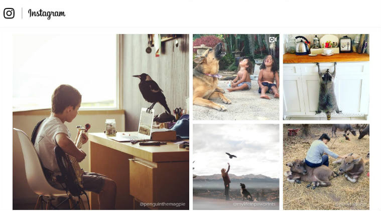 Instagram, instagram new feature, instagram multiple images, instagram albums, instagram update, instagram version 10.7.0, instagram story, instagram active users, social media, technology, technology news