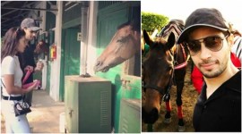 jacqueline fernandez, sidharth malhotra, reload, reload starcast, jacqueline fernandez sidharth malhotra, jacqueline fernandez films, sidharth malhotra films, indian express