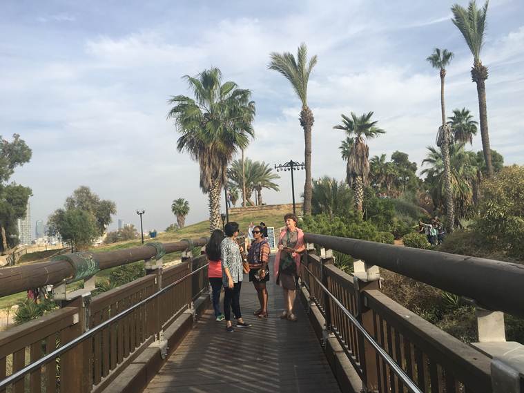 Jaffa’s multi-culturalism continues to inspire to this day