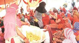 Jat quota stir, Jat quota, Violence during jat quota stir, Jat quota agitation news, Punjab news, latest news, India news, national news, India news, latest news, India news