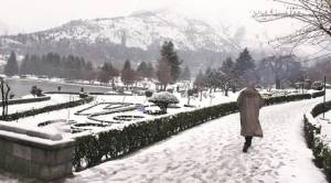 23 cm, and counting: What’s behind the Valley’s snow peak