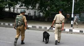 j&k police, jammu kashmir police, CCTV, CCTV monitoring, stone pelting, Kashmir unrest shivratri, kashmir violence, india news, latest news