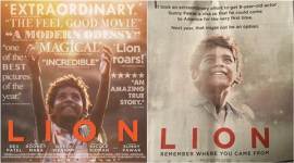lion-sunny-pawar-480 no alt set