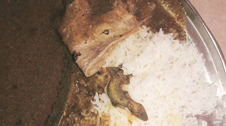 The lizard found in the lunch of a student at Sant Eknath government boys’ hostel, Chembur.