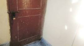 delhi, delhi police, delhi murder, husband kill wife, woman head sawed, indian express news, delhi news