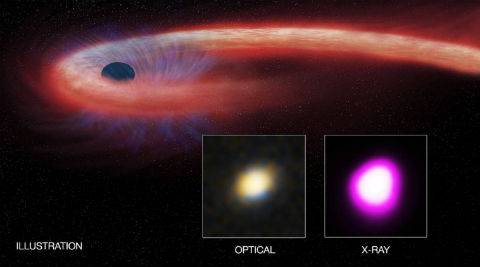 Black hole devouring star for a decade detected | Technology News - The ...