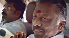 o panneerselvam, panneerselvam, MPs join OPS, AIADMK MPs, tamil nadu government, sasikala, jayalalithaa aid, india news, indian express news