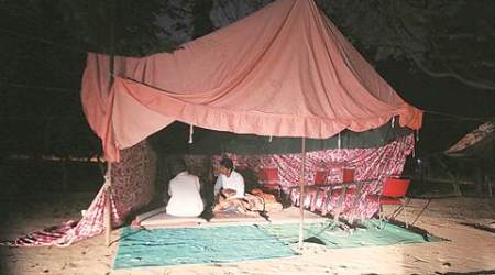 Punjab Elections, Amarinder Singh, Punjab Amrinder Singh, Latest news, Punjab AAP, AAP in Punjab, Latest news, India news, National news, Latest news, India news, Latest news