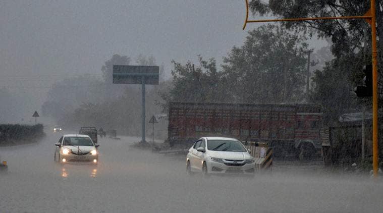 Punjab, Punjab rain, Haryana rain, Punjab agriculture, India news