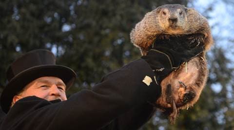 Pennsylvania groundhog’s handlers: Phil predicts more winter | World ...