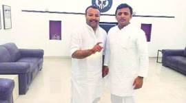 Uttar Pradesh assembly polls, Shahnawaz Rana, UP assembly polls, akhilesh yadav, sp, mulayam singh yadav, india news