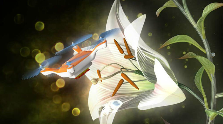 tiny insect sized drones, artificial pollinators, decline of bee populations, agriculture, robotics, robotic insects, gps,pollination paths, hair wax, robots absorbed pollen, Science, Science news