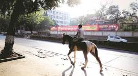 Placid D’Mello, P D’Mello Road, P D’Mello Road mumbai, P D’Mello, latest news, mumbai news