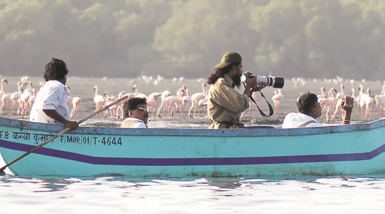 Locals have established an informal Sewri Flamingo Point to watch the birds. Express