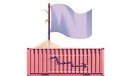 Sugar import, BJP, uttar pradesh sugar import, up bjp, sugar import issues, sugar supply, sugar manufacturing, sugarcane farming, Maharashtra’s mills, Maharashtra sugar mills, UP Assembly elections, indian express news, india newsm business news