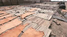 uttar pradesh assembly elections, up elections 2017, uttar pradesh elections 2017, ganga river up elections, clean ganga project, ganga project, kanpur up elections, india news, indian express news, latest news