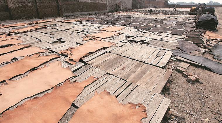 uttar pradesh assembly elections, up elections 2017, uttar pradesh elections 2017, ganga river up elections, clean ganga project, ganga project, kanpur up elections, india news, indian express news, latest news