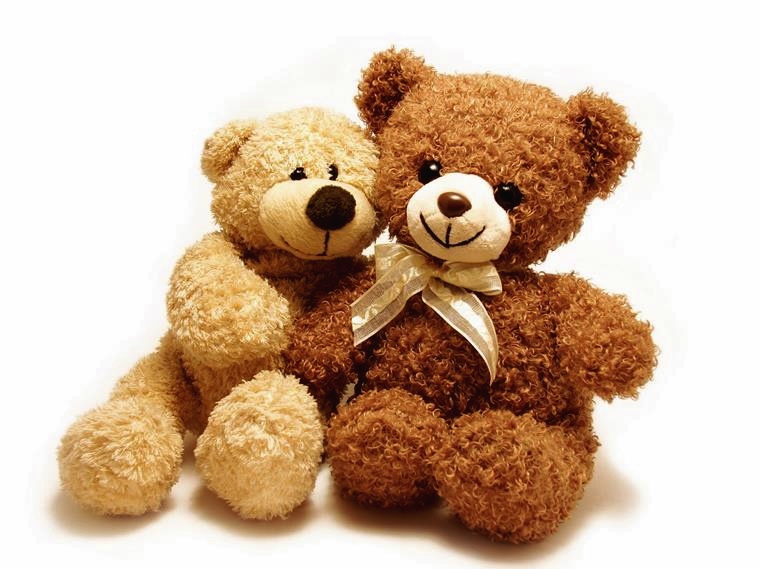 teddy bears for your boyfriend