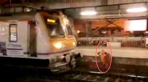 train accidents, mumbai local train accident, old woman train accident, train accident video, mumbai local train accident video, indian express, indian express news