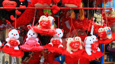 Madhya Pradesh collector, Chhindwara collector, Chhindwara collector valentine's day, Chhindwara news, Madhya Pradesh news, india news, latest news, indian express