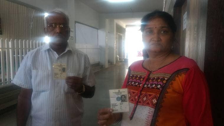 voter