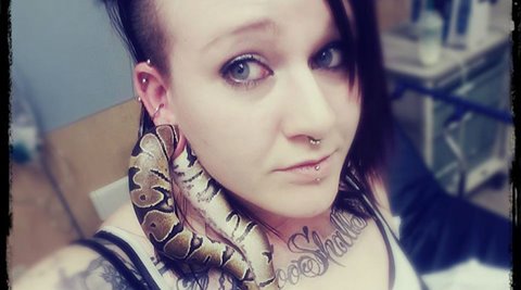 woman ball python pet earlobe, ashley glawe, oregon woman pet snake earlobe, bizarre news, weird news, snake news, bizarre animals, indian express, indian express news